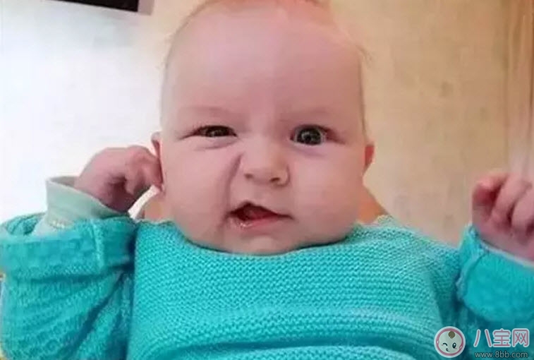 “秋冻”“贴秋膘”有讲究!专家回应秋季养生热门话题