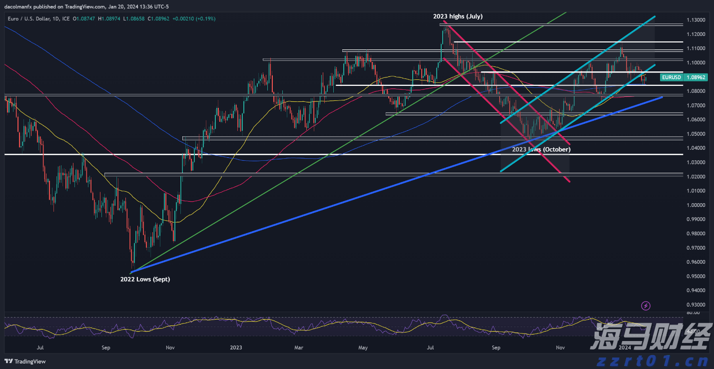 岭师健儿闪耀省大运会赛场
