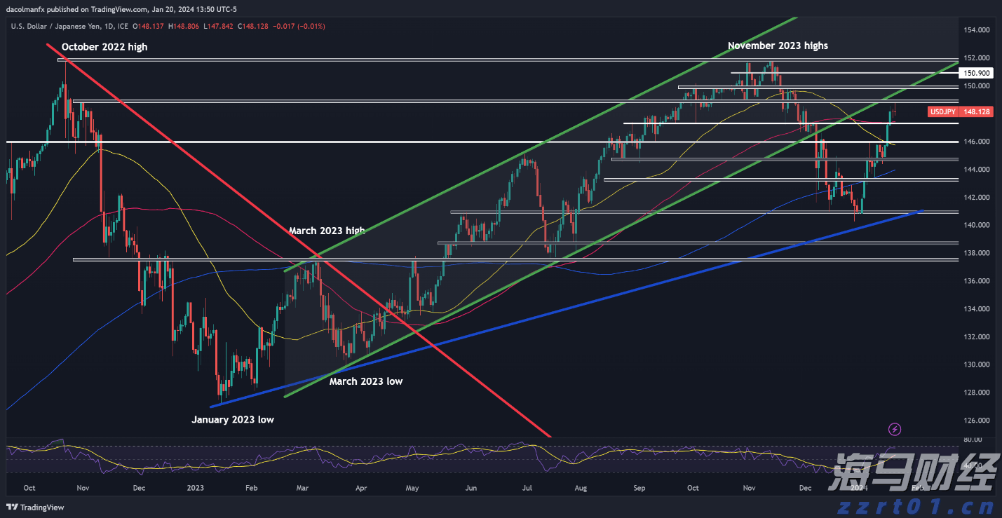 岭师健儿闪耀省大运会赛场
