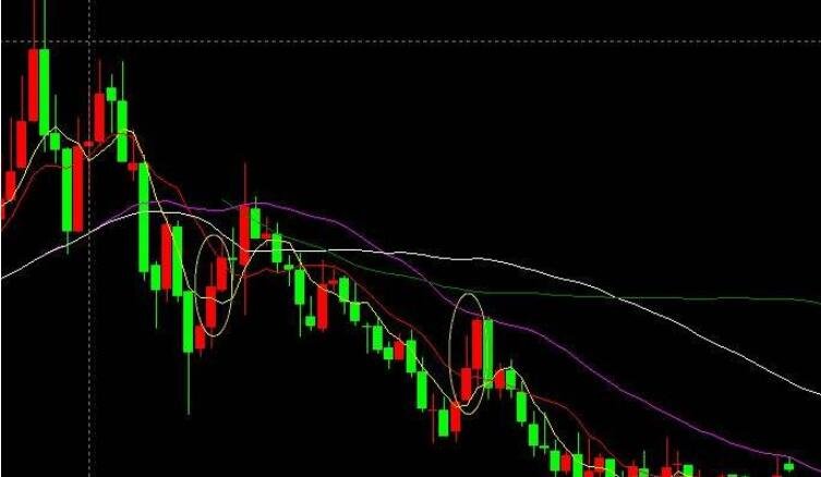 我市举办第五届“荷城金韵”文化活动
