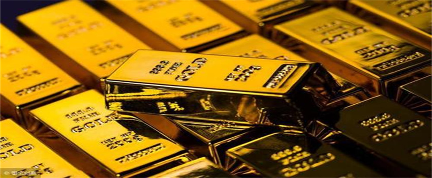 梅州海关供港澳活猪远程检疫监装模式正式启动