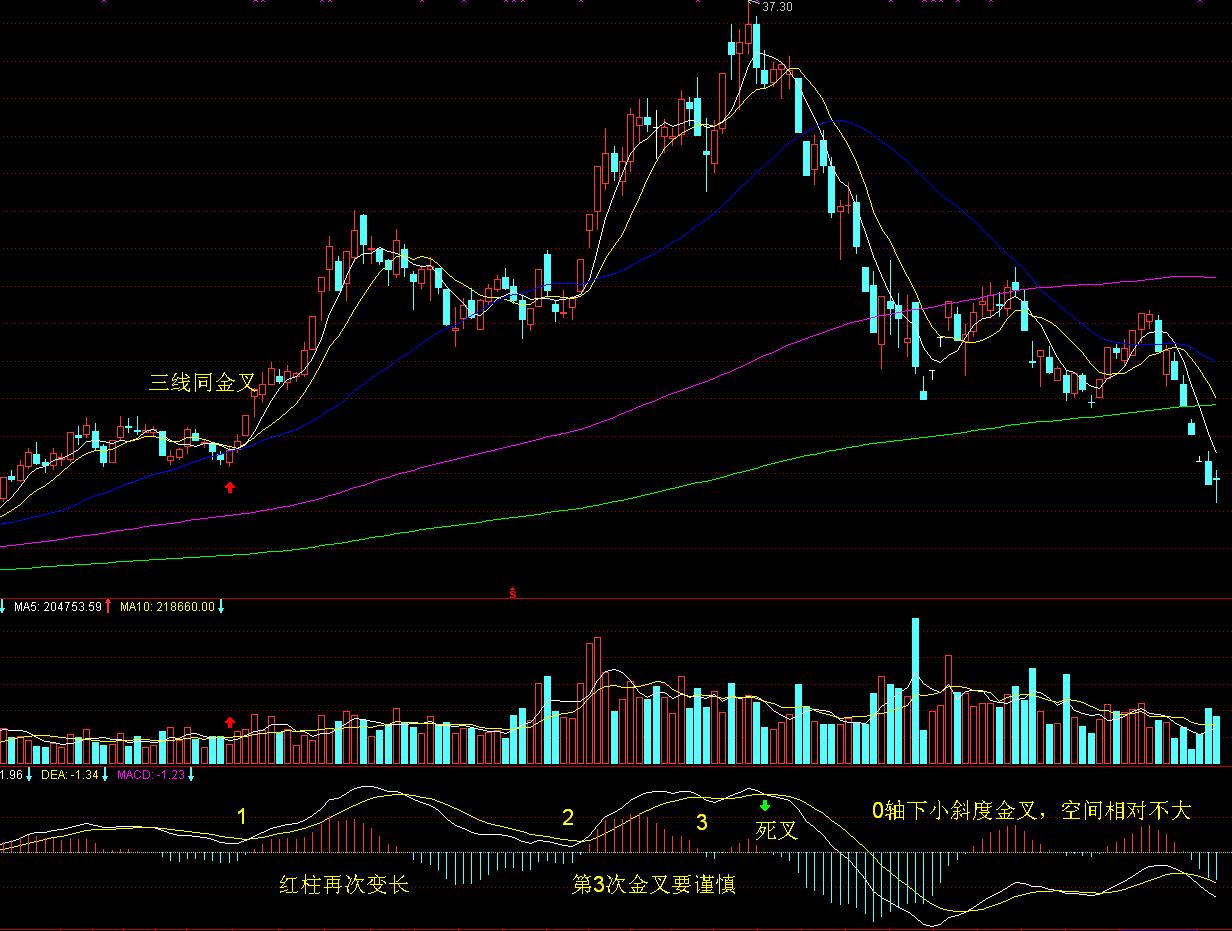 广西新闻摄影学会手机摄影培训公益大讲堂在我市举行