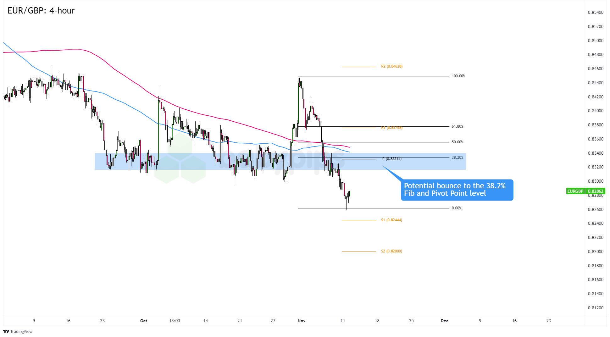 港南区香江龙舟赛激情开赛