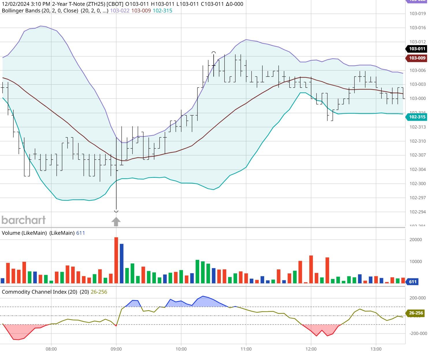 全区特殊教育学科中心组能力提升活动在我市举办